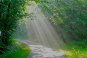 Chemin dans la lumière